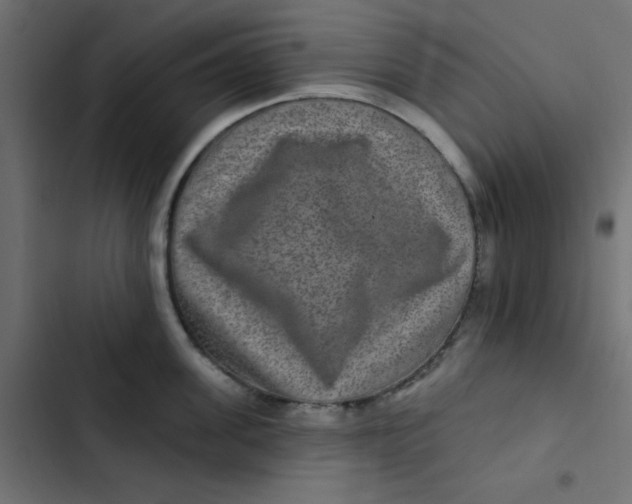 X0000103320955200809261133