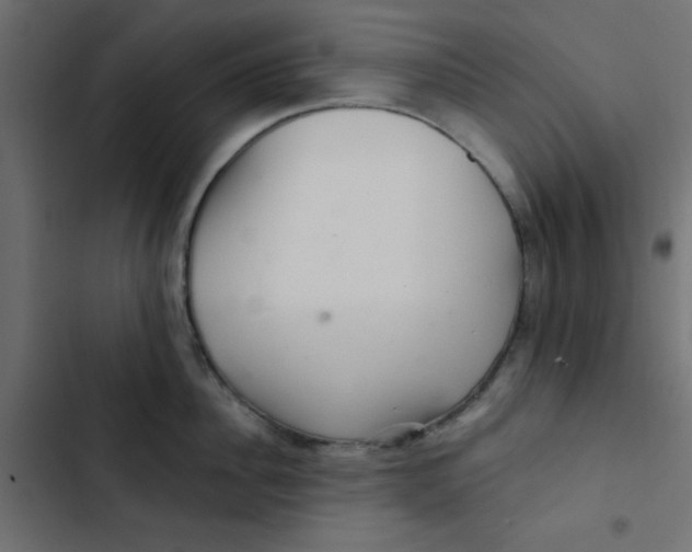 X0000103320956200809261133