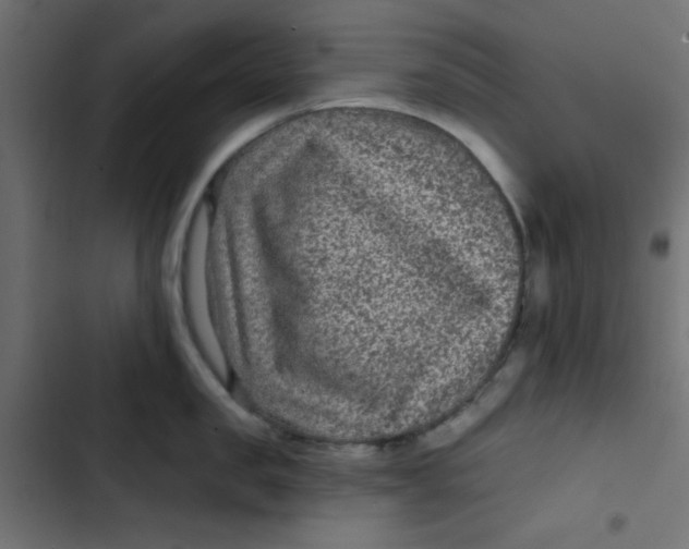 X0000103320957200809261133