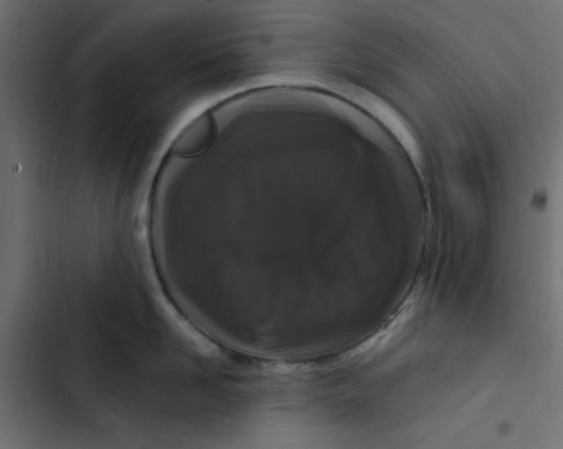 X0000103320958200809261133