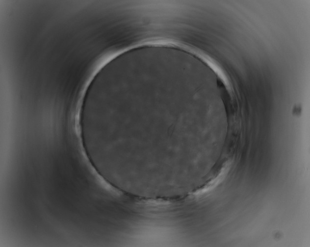 X0000103320959200809261133