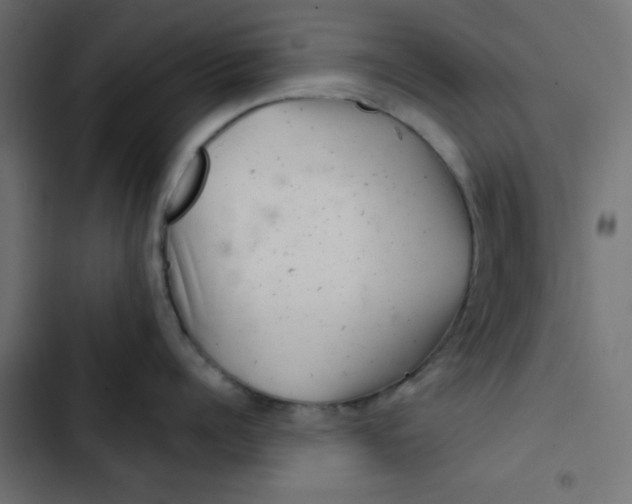 X0000103320960200809261133