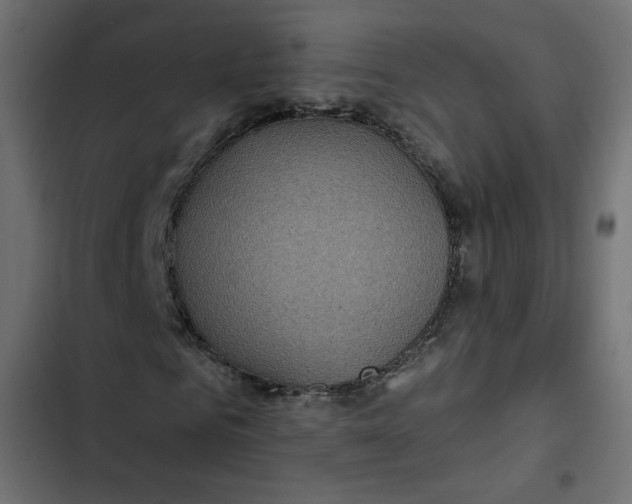 X0000103320961200809261132