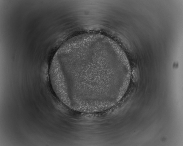 X0000103320963200809261132