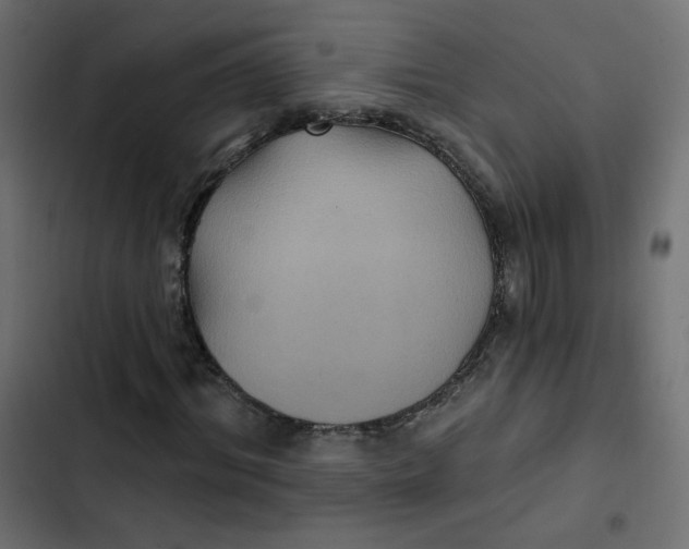 X0000103320964200809261132