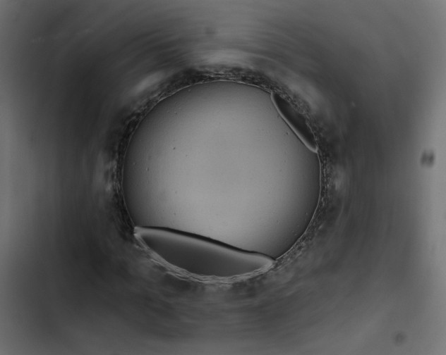 X0000103320965200809261132