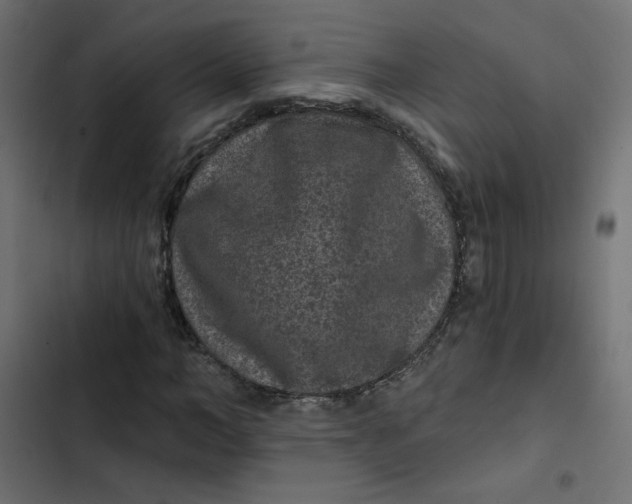 X0000103320966200809261132