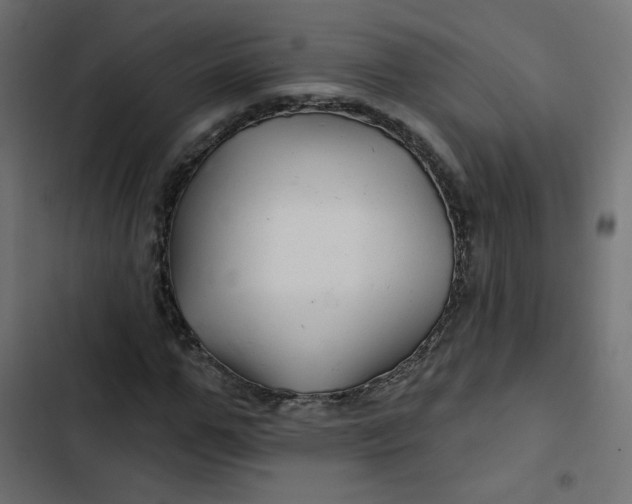 X0000103320967200809261132