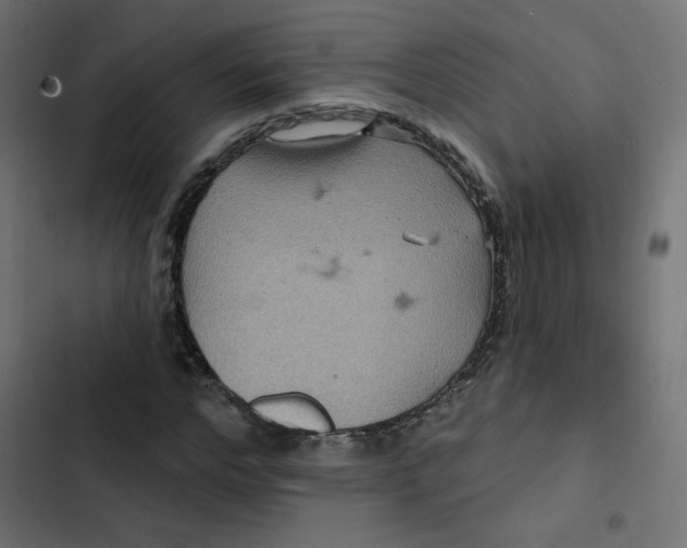 X0000103320968200809261132