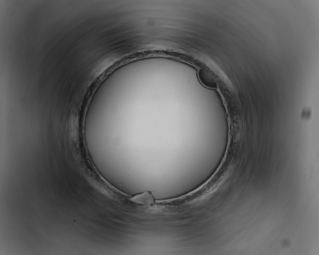 X0000103320969200809261132