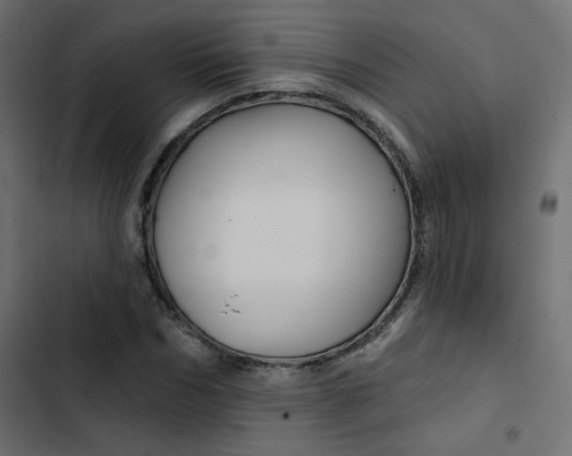 X0000103320970200809261132