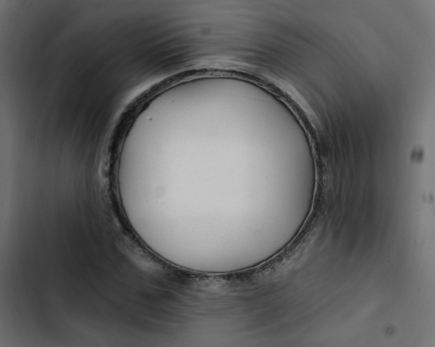 X0000103320971200809261132