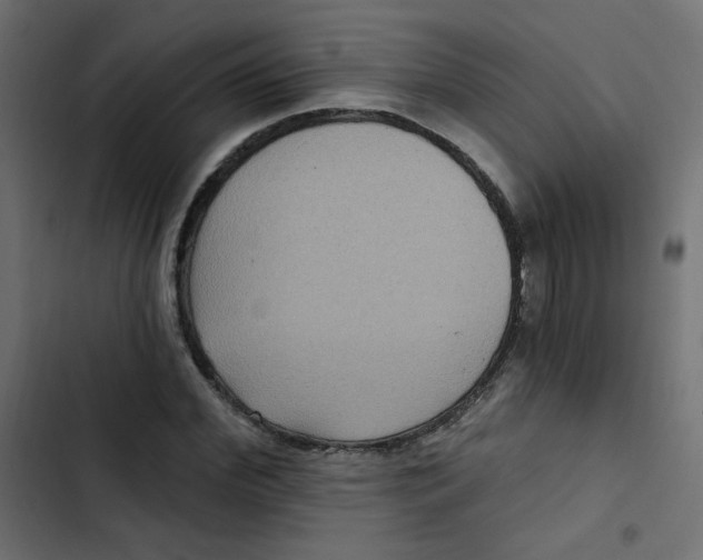 X0000103320972200809261132