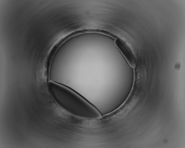 X0000103320973200809261132