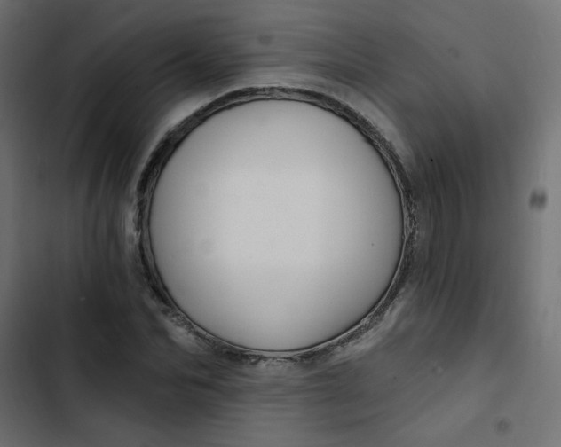 X0000103320974200809261132