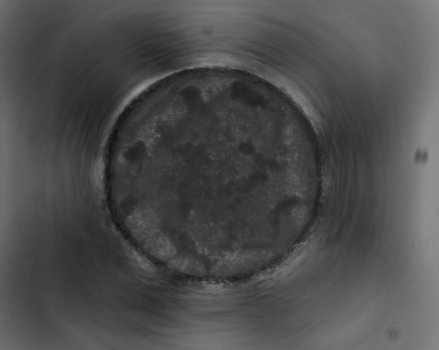 X0000103320975200809261132