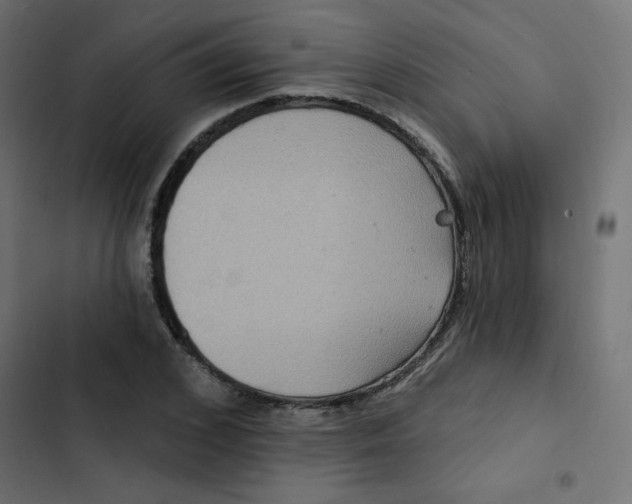 X0000103320976200809261132