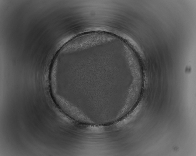 X0000103320977200809261132