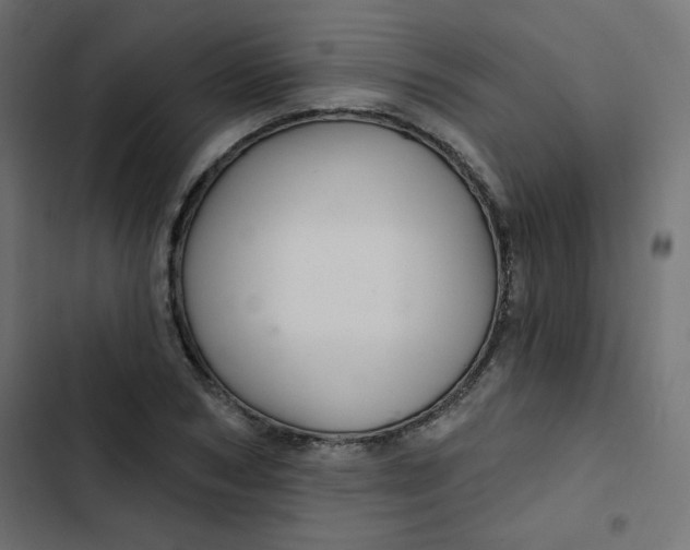 X0000103320978200809261132