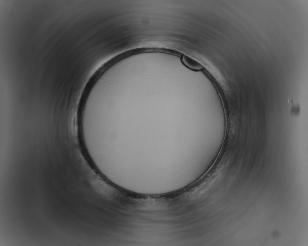 X0000103320980200809261132