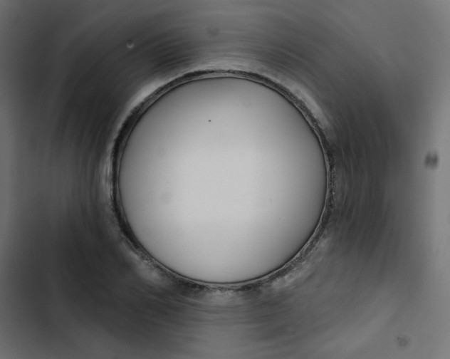 X0000103320982200809261132