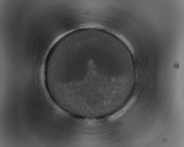 X0000103320983200809261132