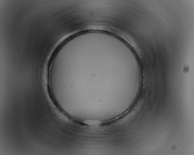 X0000103320984200809261132