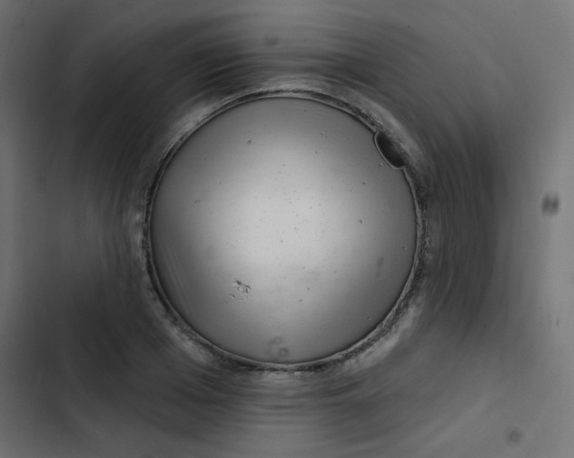 X0000103320985200809261132