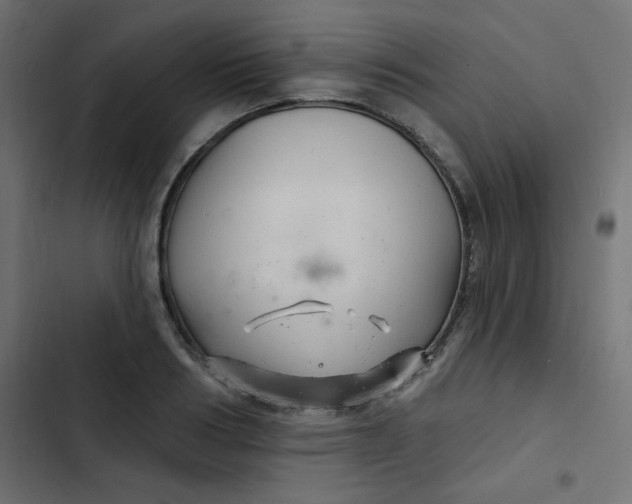 X0000103320986200809261132