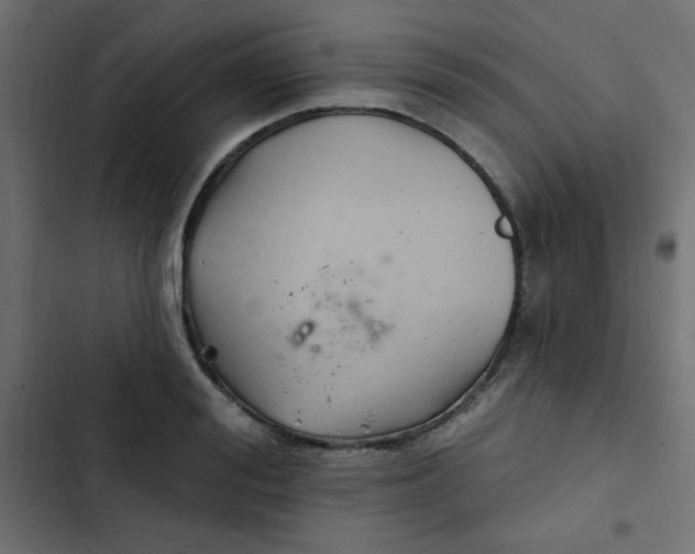 X0000103320988200809261132