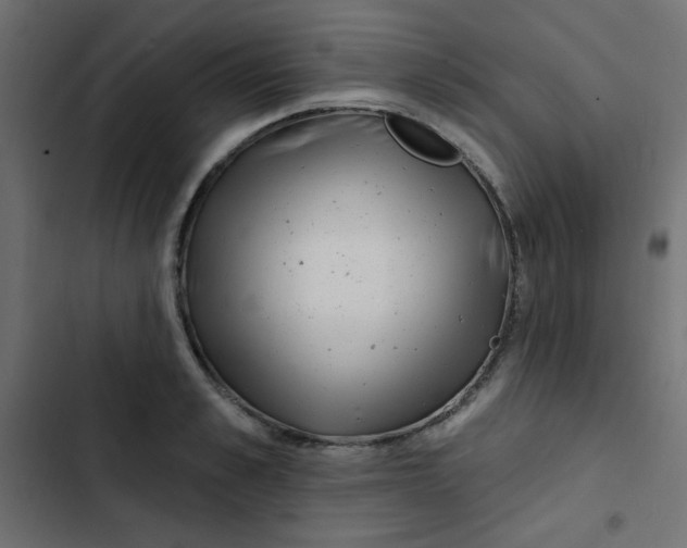 X0000103320989200809261132