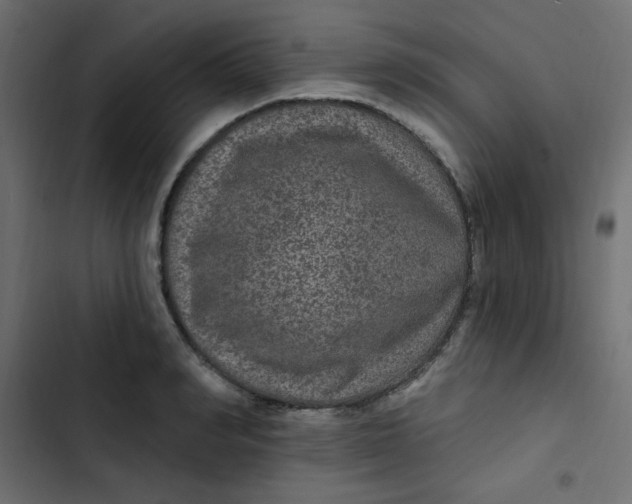 X0000103320990200809261132