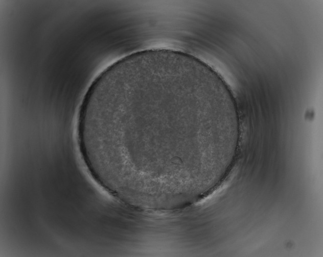 X0000103320991200809261132