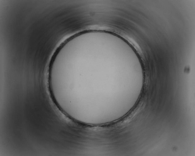 X0000103320992200809261132