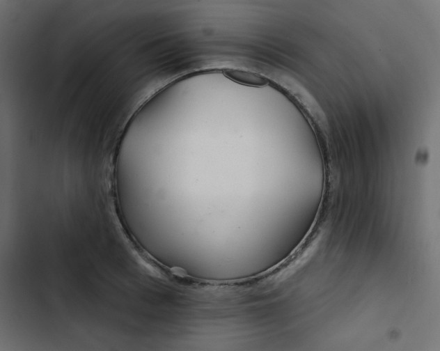 X0000103320993200809261132