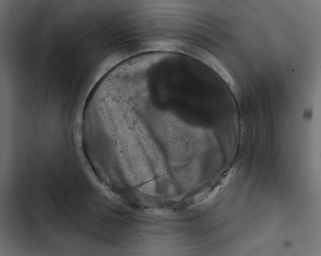 X0000103320994200809261132