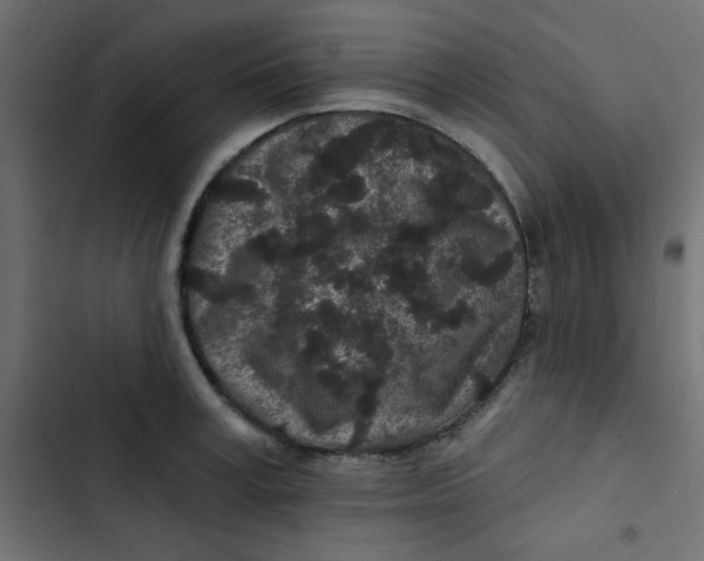 X0000103320995200809261132