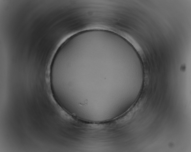 X0000103320996200809261132