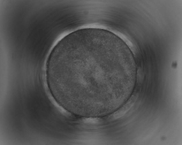 X0000103320998200809261132