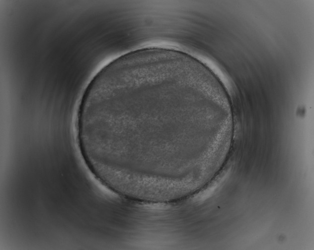 X0000103320999200809261132