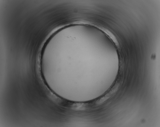 X0000103321000200809261132