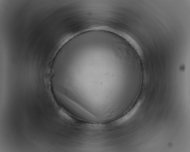 X0000103321001200809261132