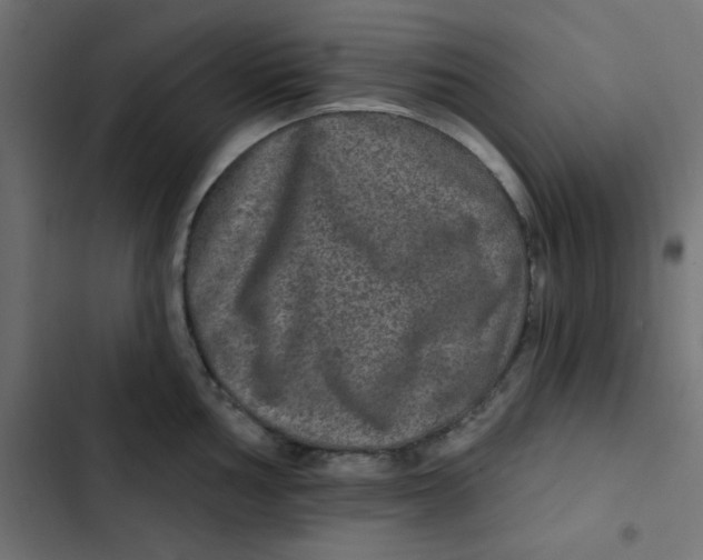 X0000103321002200809261132