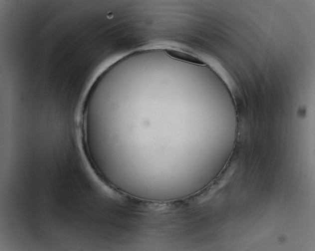 X0000103321003200809261132