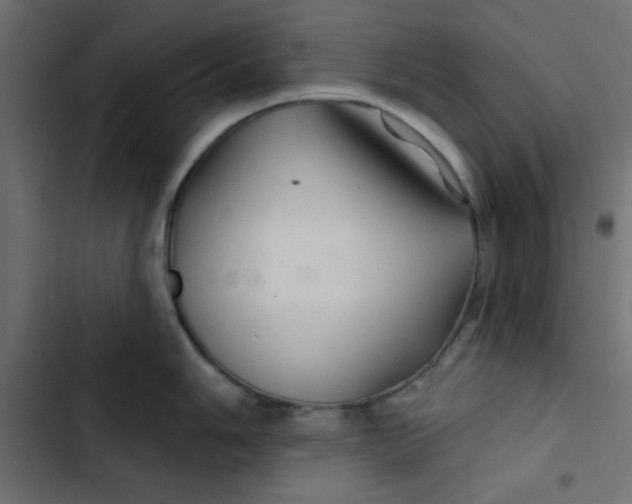 X0000103321006200809261132