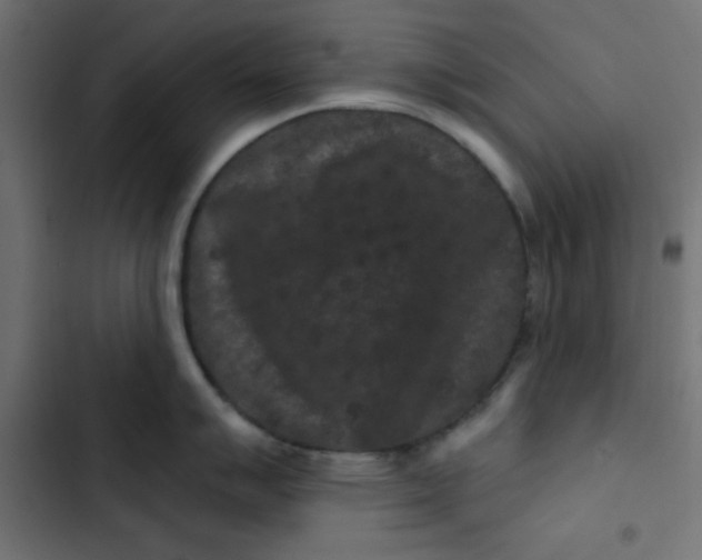 X0000103321007200809261132