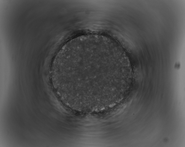 X0000103321009200809261131