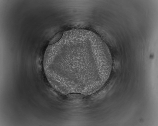 X0000103321010200809261131