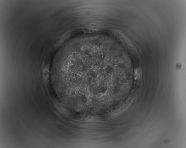 X0000103321011200809261131