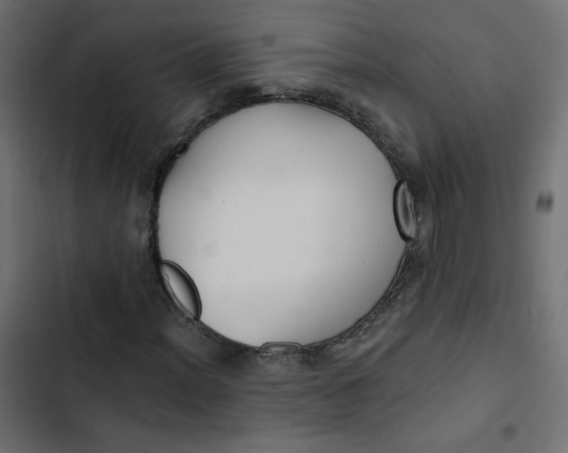 X0000103321012200809261131